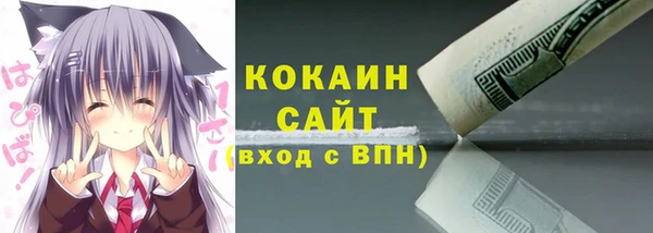 гидра Верхний Тагил