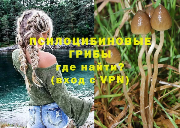 каннабис Верея