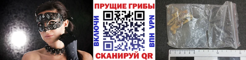Псилоцибиновые грибы Cubensis  Купить  Волосово 